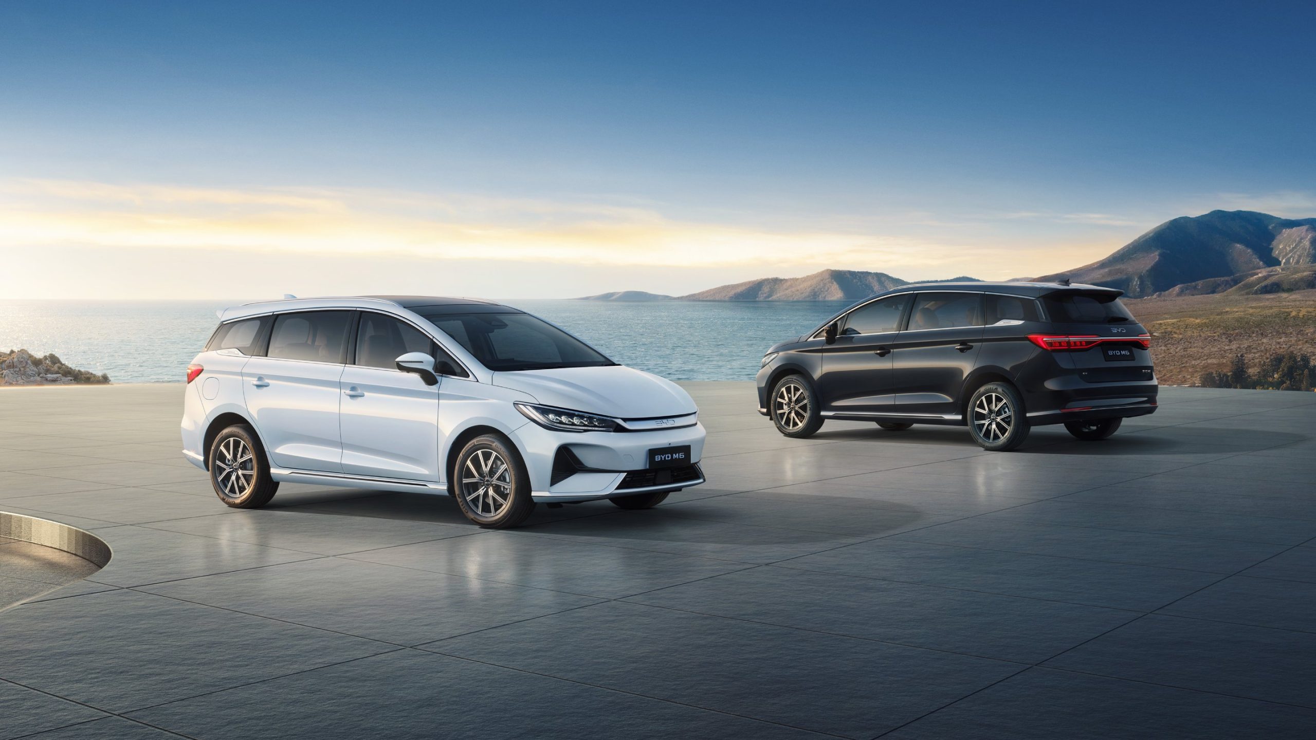 byd m6